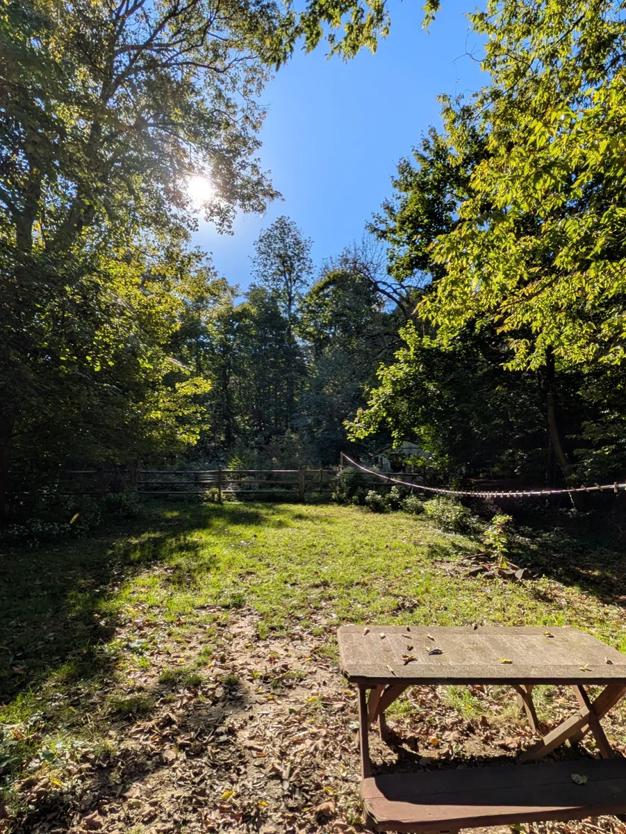 The backyard